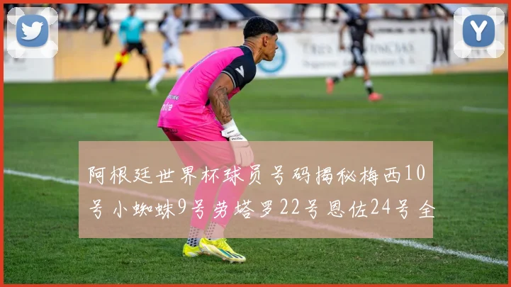 阿根廷世界杯球员号码揭秘梅西10号小蜘蛛9号劳塔罗22号恩佐24号全解析